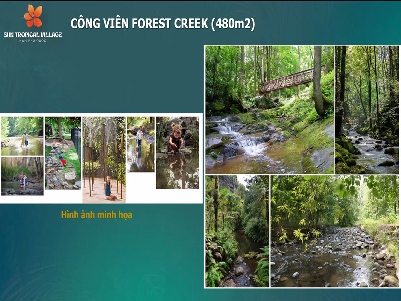 Công viên Forest Creek