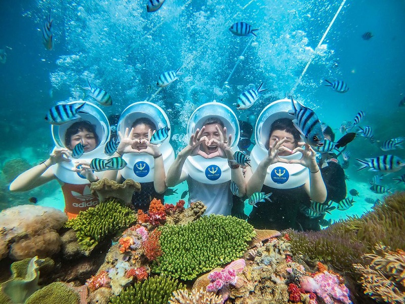 Ngắm san hô tại Đảo Ngọc Phú Quốc