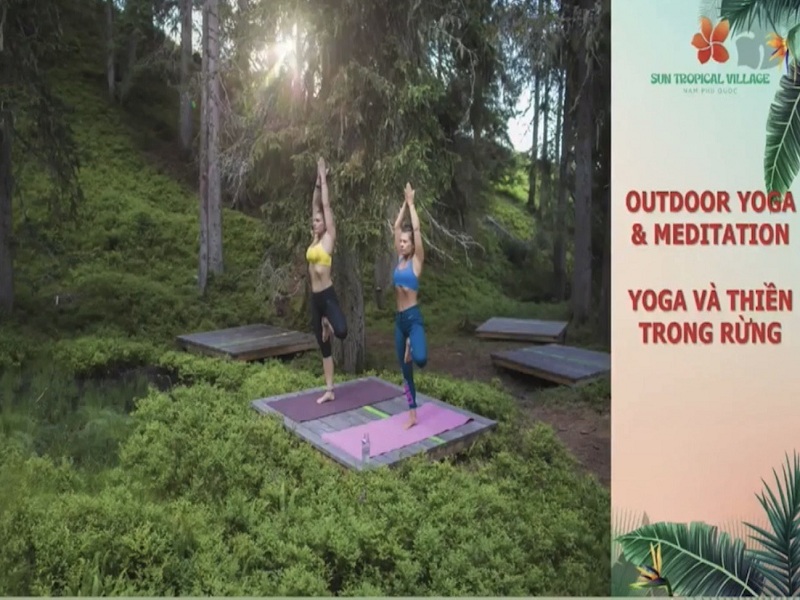 Yoga giữa rừng
